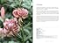 Lilies: Beautiful varieties for home and garden