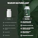 Vitamin D3 20000 I.E. Hochdosiert – 400 Tabletten im Jahresvorrat, Sonnenvitamin für Immunsystem, Vegetarisch, In Deutschland Produziert