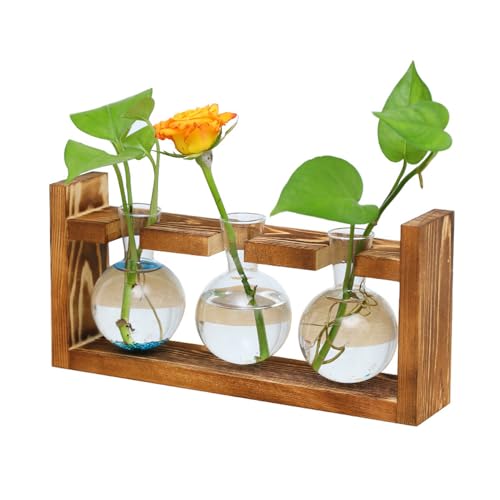 Vase en Tube à Essai, Verre Tube à Essai Vase, Vases Hydroponiques Vintage, Tube à Essai en Verre Vases, pour Plantes Hydroponiques, Décoration Bureau Domicile, avec Support en Bois, 3 Ampoule Vase