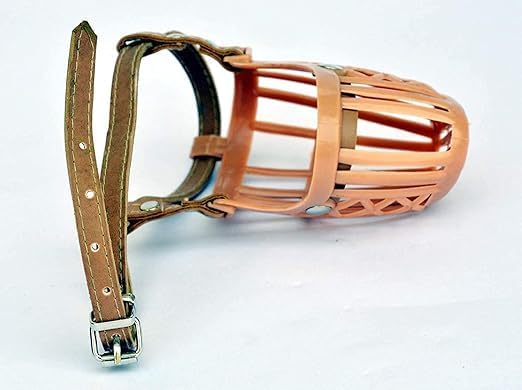 Adjustable Dog Muzzle with Buckle Strap, Small