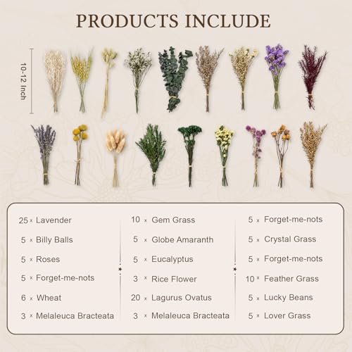 Kit de flores secas naturales DIY con 18 tipos miniatura 7