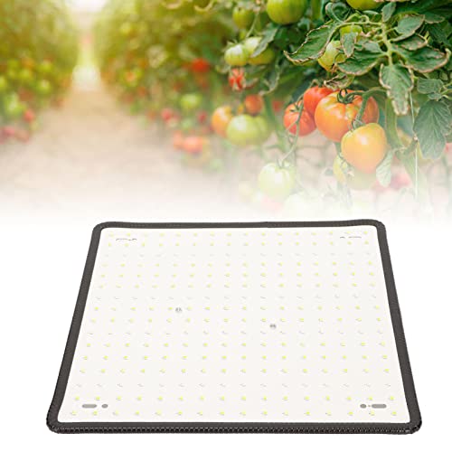 Plant Grow Light, 1000W Professional Red and Blue Spectrum Quantum Board Grow Light para Plantas de