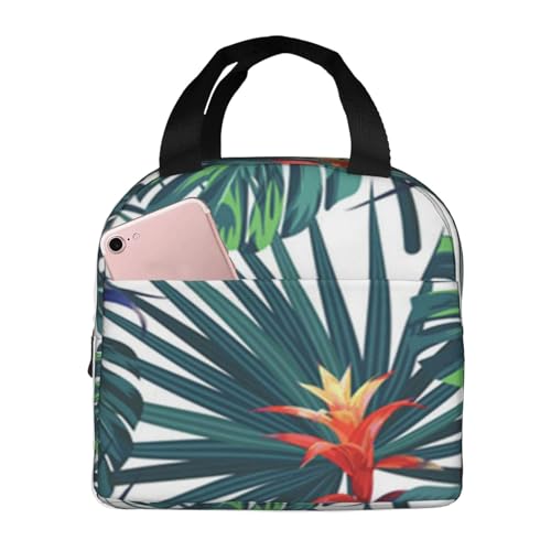 fM`obOAeʁAhAMRh~AX^CbVŏvAdAwZAAEghAɕ֗AjpinC̐AƉԂ̃GL]`bNȃgsJwiV[XxN^[j