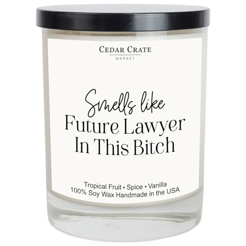 Lawyer Graduation Gifts for Women Men, Passing The Bar Exam Gifts, Law Office Decor, College, Law School Graduation Present, Look at You Becoming A Lawyer Funny Candles, Made in The USA