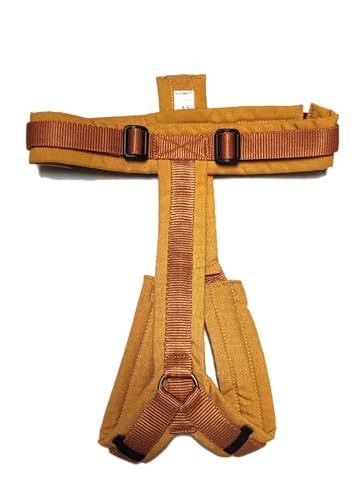 Anny-X Brustgeschirr Fun | Farbe Goldglöckchen | Hundegeschirr in Größe M (Brustumfang 62-74 cm) (Goldglöckchen, M)