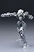 Kotobukiya frame arms frame (completed). [Gray] 1 / 100 scale model Kit