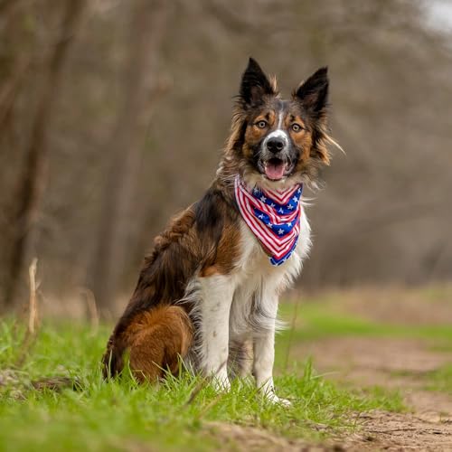 Image of Wilderdog Dog Bandana with Lightweight Quick Drying Poly-Blend Mesh Material in Americana