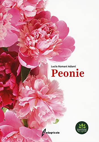  Peonie