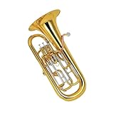 Un savoir-faire exquis garantit un excellent confort de jeu, une fiabilité et une durabilité à long terme, faisant de cet euphonium un choix fiable pour les performances sur scène et la pratique.