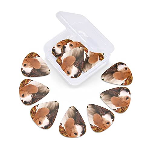 Lot de 12 médiators pour guitare électrique et acoustique Motif chien Beagle en automne - Les Beatles, Paul McCartney, John Lennon, RIngo Starr, George Harrison Lot de 12 médiators pour guitare électrique et acoustique Motif chien Beagle en automne – Image 7
