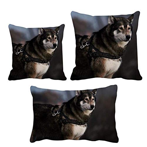 Coussin Husky décoratif pour salon et canapé cocooning - 2