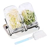 Material seguro y duradero: tanto las tapas de germinación como el soporte están hechos de acero inoxidable 304 de grado alimenticio, a prueba de óxido y resistente. Material libre de BPA, más seguro que las tapas de plástico, ya que son duraderas y libres de materiales tóxicos.