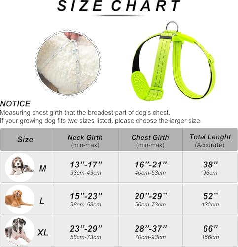 PZRLit LED Hundegeschirr Leuchtend für Hunde, Leuchtgeschirr Hundeweste Wiederaufladbar, Weich Gepolstert, Verstellbar und Reflektierend, Beleuchtetes Hundegeschirr (Grün, Mittel)
