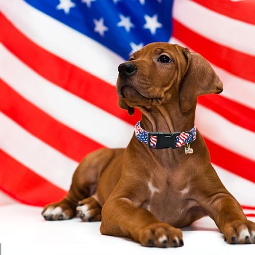 Collar para perro grande patriótico bandera americana