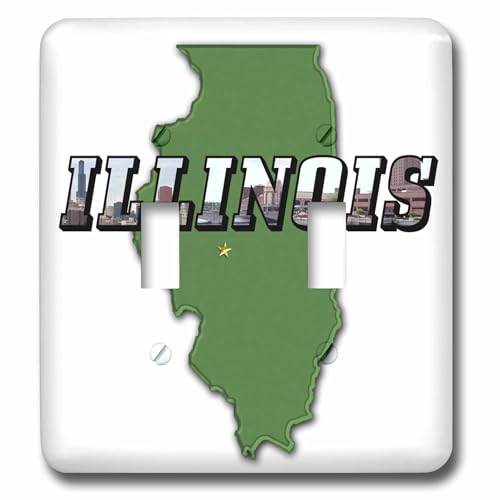 Interrupteur Illinois 3dRose pour remplacer une plaque murale classique et terne