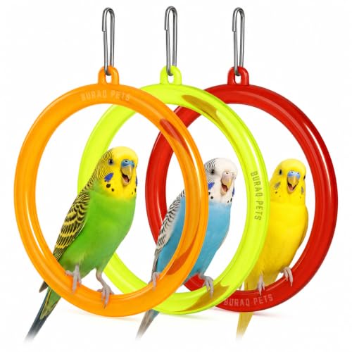 Buraq 3 Pcs Interactive Playful Bird Hanging Ring - for Hanging S...