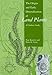 Produktbild The Origin and Early Diversification of Land Plants: A Cladistic Story (Smithsonian Series in Comparative Evolutionary Biology)