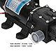 Hochdruck Wasserpumpe Druckwasserpumpe 120W 10L/m 12V/24V Elektrische Selbstansaugende Membranpumpe für Hochdruckreiniger Bewässerungssysteme (12V 3210YD-12-120FS)