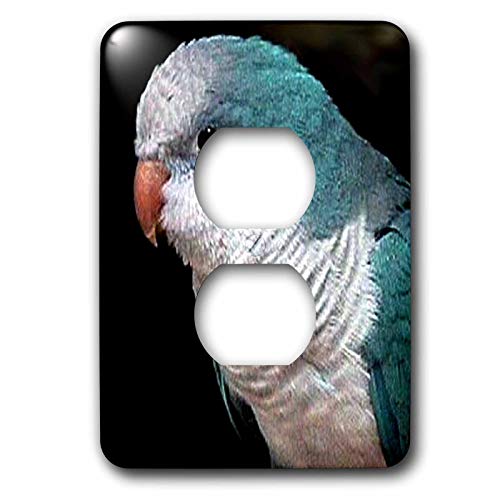 Placa azul Quaker para enchufe doble 3dRose lsp_607_6 decorativa 2