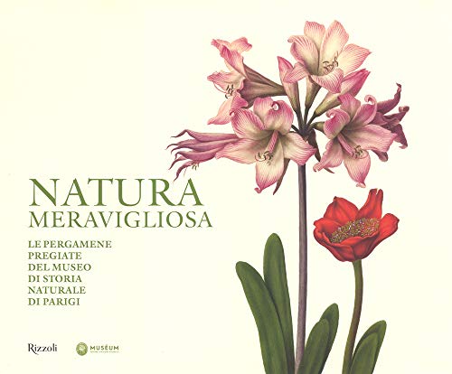  Natura meravigliosa. Le pergamene pregiate del Museo di storia naturale di Parigi. Ediz. a colori