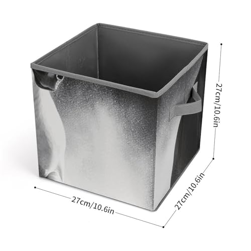 Cube de rangement pliable chevaux au design noir et blanc moderne - 3