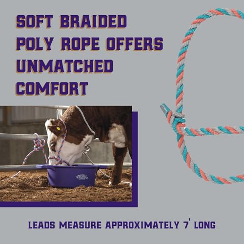Image of Weaver Livestock Braided Poly Rope Cattle Halter, Adjustable, Modern Style Cow Calf Halter, Livestock Handling Equipment for Showing, Coral /Gray /Teal