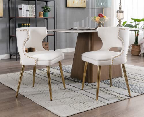 Ealson Velvet Dining Chairs Set Of 2 Comfy Upholstered Dining Room Chairs With Gold Metal Legs Modern Accent Kitchen Chairs Armless Side Chairs For Living Room/Dining Room, Beige #TOP3