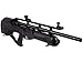 Wearable4U - Hatsan HGHercBull-30 Hercules Bully .30 Caliber Air Rifle with Included 100x 46.3 Grain Pellets Bundle (Black)