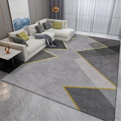 Tapis pour salon moderne imprimé de qualité géométrique 50x80