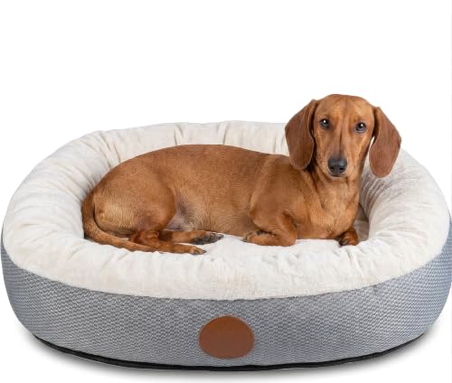 Elite Paws® UK Luxury Orthopaedic Dog Bed, Washable Cover (Cream, S)
