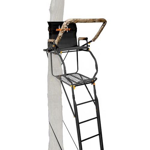 Top 10 Ameristep Double Ladder Stand of 2022 - Katynel