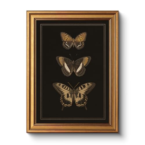 WHASAYART Gold Framed Vintage Wall Art for Living Room, Insects