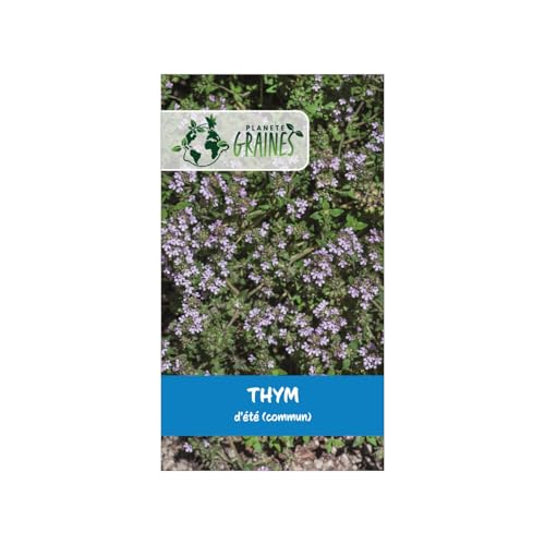 50 Graines de Thym d'Été - Variété Aromatique et Parfumé - Idéal Cuisine, Mellifère et très Résistant à la Sécheresse