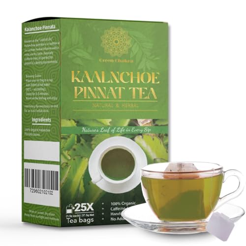 Kalanchoe Pinnata Herbal Tea Bags (25 Count) – Pure Leaf