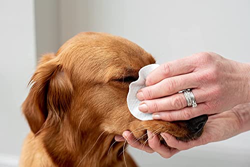 pet wiz Augenpflegetücher für Haustiere | Tierarzt-geprüft | 120 extra große natürliche Tücher | sanft und beruhigend, 2er Pack (insgesamt 240 Tücher)