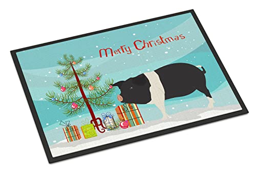 Caroline's Treasures BB9306JMAT Hampshire Pig Christmas Doormat 24x36, Teal Front Door Mat Indoor Outdoor Rugs for Entryway, Non Slip Washable Low Pile, 24H X 36W
