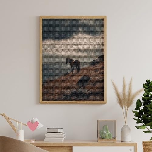 Peinture diamant cheval débutants solution loisir créatif facile