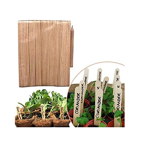 Prime Qualität (Everything You Need) 50 Recyclable Environment Friendly Bamboo Wood Seed Labels Sticks With Pencil - Great For plant identification