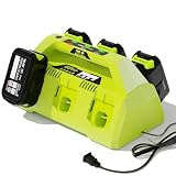 NEPOWILL 6-Ports Replacement Battery Charger for Ryobi 18v Battery Charger Station, Sequential Charger Compatible with Ryobi ONE+ 18V Battery P102 P104 P105 P106 P108 P107 P109 for Ryobi Power Tools