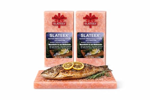 Slateex Juego de 2 piedras de sal del Himalaya 20 × 10 × 2,5 cm – Platos de sal pura para asar y cocinar – Producto natural sin aditivos – Para carne, pescado, verduras y postres
