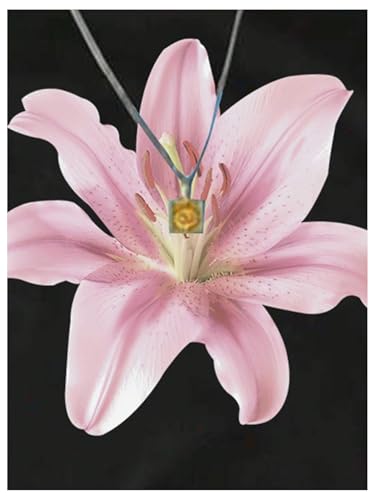 Girl's Short Sleeve Graphic Tees Crew Neck Floral T Shirts Summer Tight Crop Tops4