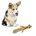 SPOT Mini Skinneeez | Stuffless Dog Toy with Squeaker For All Dogs | Tug-Of-War Toy For Small and Large Breeds | 14" | Flying Squirrel Design | By Ethical Pet