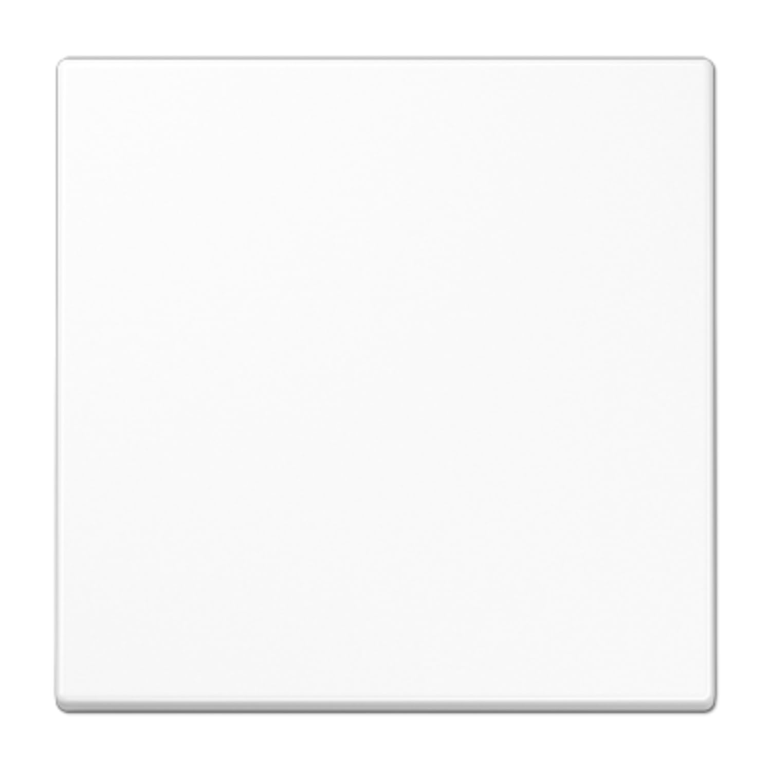Transmetteur radio Bluetooth LS blanc alpin pour salon moderne JUNG
