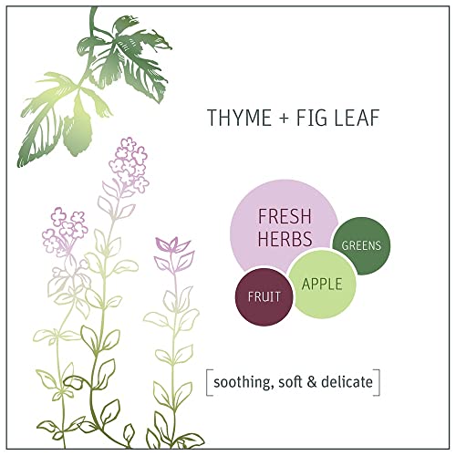 Grab Green Kitchen Power Degreaser, 16 Ounce (Pack Of 3), Thyme Fig Leaf Scent, Biodegradable, Plant And Mineral Based, Cuts Through Tough Grease And Grime #TOP3