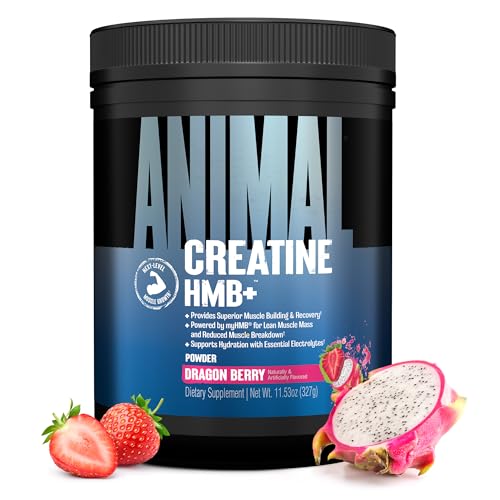 Animal Creatine HMB Powder – 3g myHMB + 5g Creatine with Electrolytes for Recovery & Daily Energy – Dragon Berry Flavor, 30 Servings