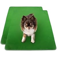 Amazon.co.jp: INULABO(イヌラボ) 大判 床保護マット (165×122cm(2枚