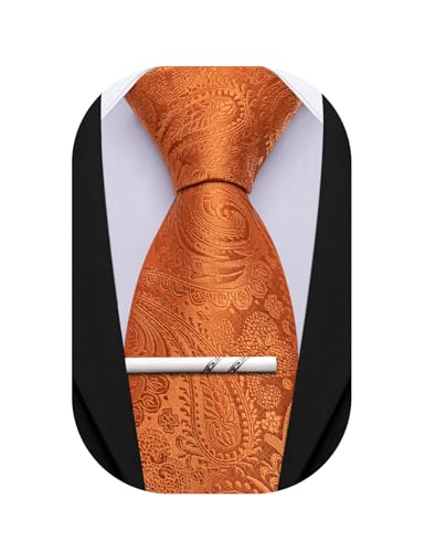 Image of Barry.Wang Paisley Tie for Men Silk Woven Necktie and Tie Clip Set Wedding Party Business Formal