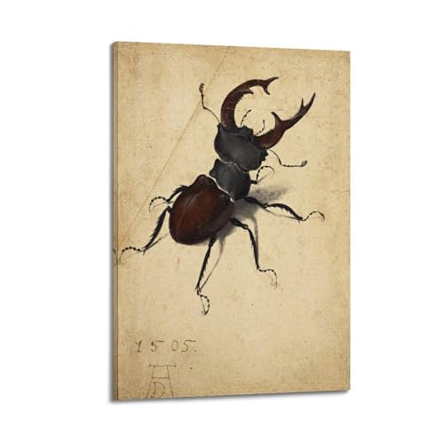 Poster Stag Beetle 1505 Albrecht Durer pour habiller un mur