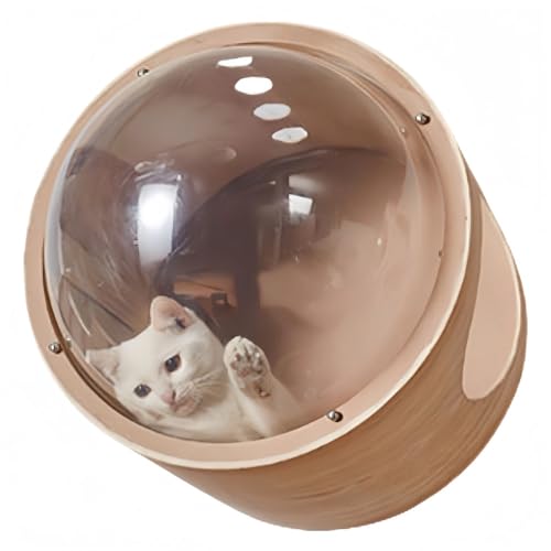 Anfiodas FD LnEX ybgxbh h[^ ǕtuΉ ȒP LE^p SN ϖՐ Zp` (Eh)