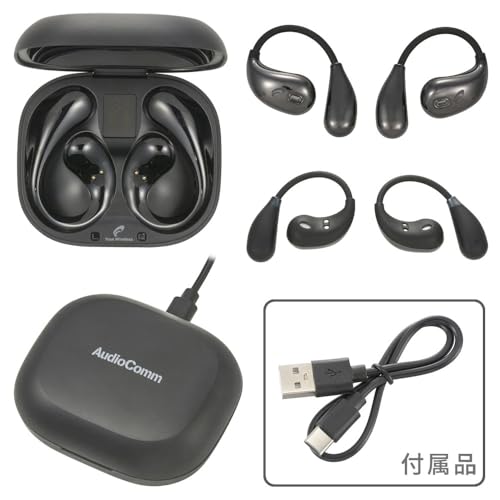 AudioComm 完全ワイヤレスイヤホン HP-W610N-K 商品画像12